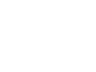 logo-white